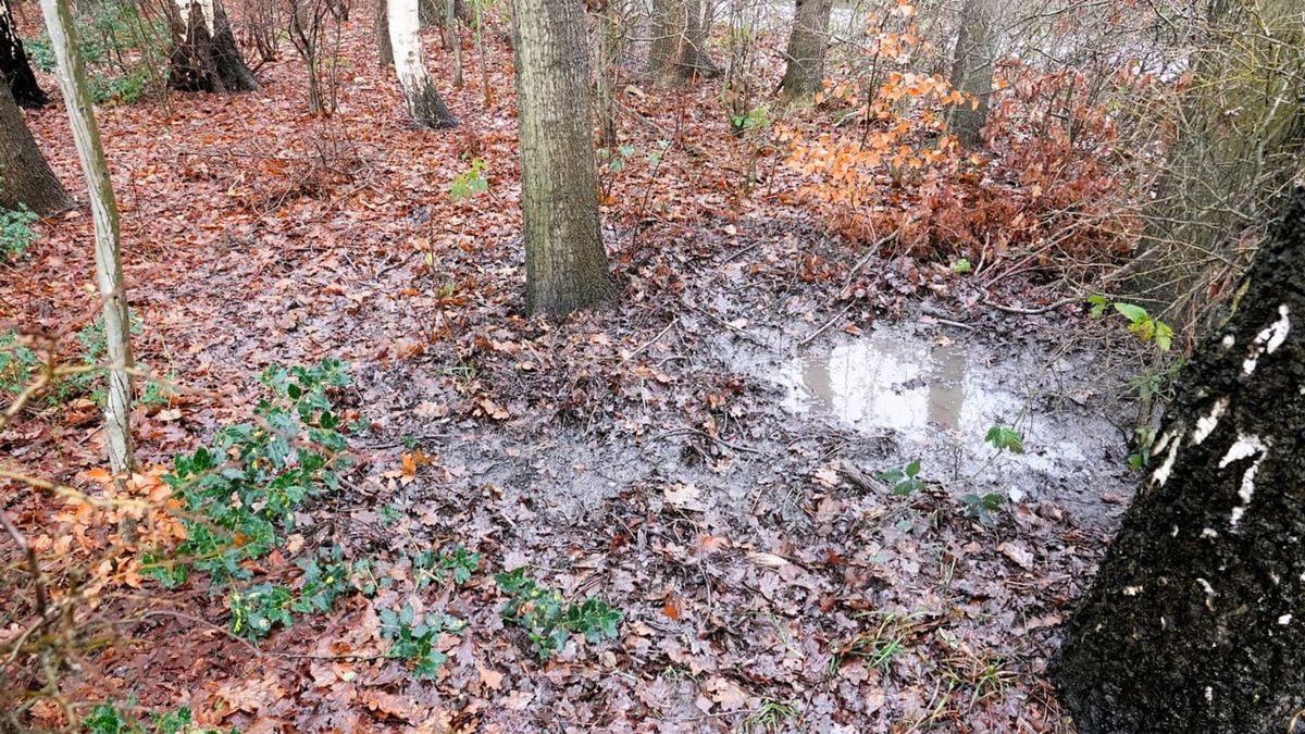 Wie dumpte liters diesel in het bosperceel van Ben Soer uit Loozen?