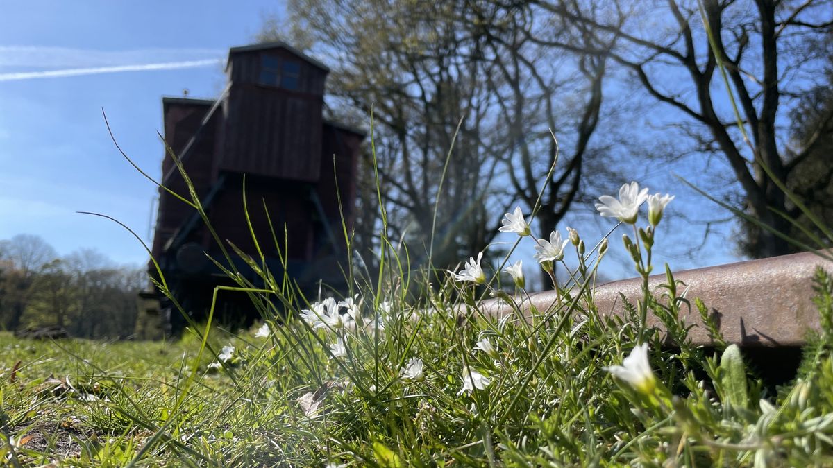 Lezing Herinneringscentrum Kamp Westerbork afgelast na bedreigingen