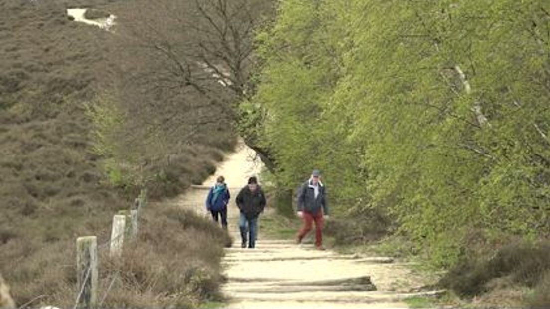 Het paasweekeinde is ook het begin van het toeristenseizoen op de Veluwe. Al jaren voeren gemeenten en organisaties op de Veluwe campagnes om meer toeristen en recreanten te trekken. Tegelijkertijd groeit de zorg over de gevolgen van het toerisme voor de natuur op de Veluwe.