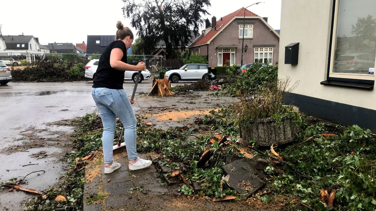 Wegen weer begaanbaar na storm: 'Leersum is een dorp van aanpakken'