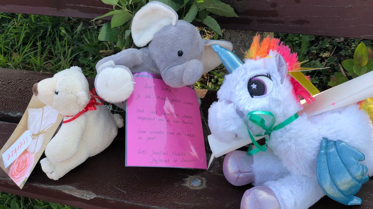 Inzamelingsactie voor het afscheid van verdronken Betty (3) in Heinenoord