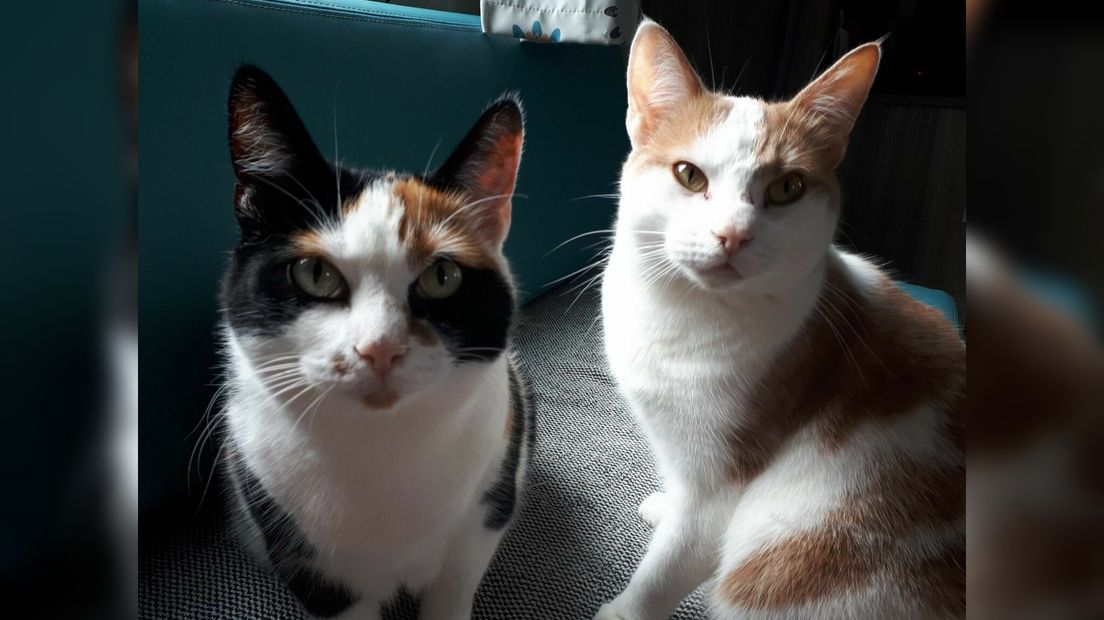 Mila en Joep fan baaske Sandra Hofstra