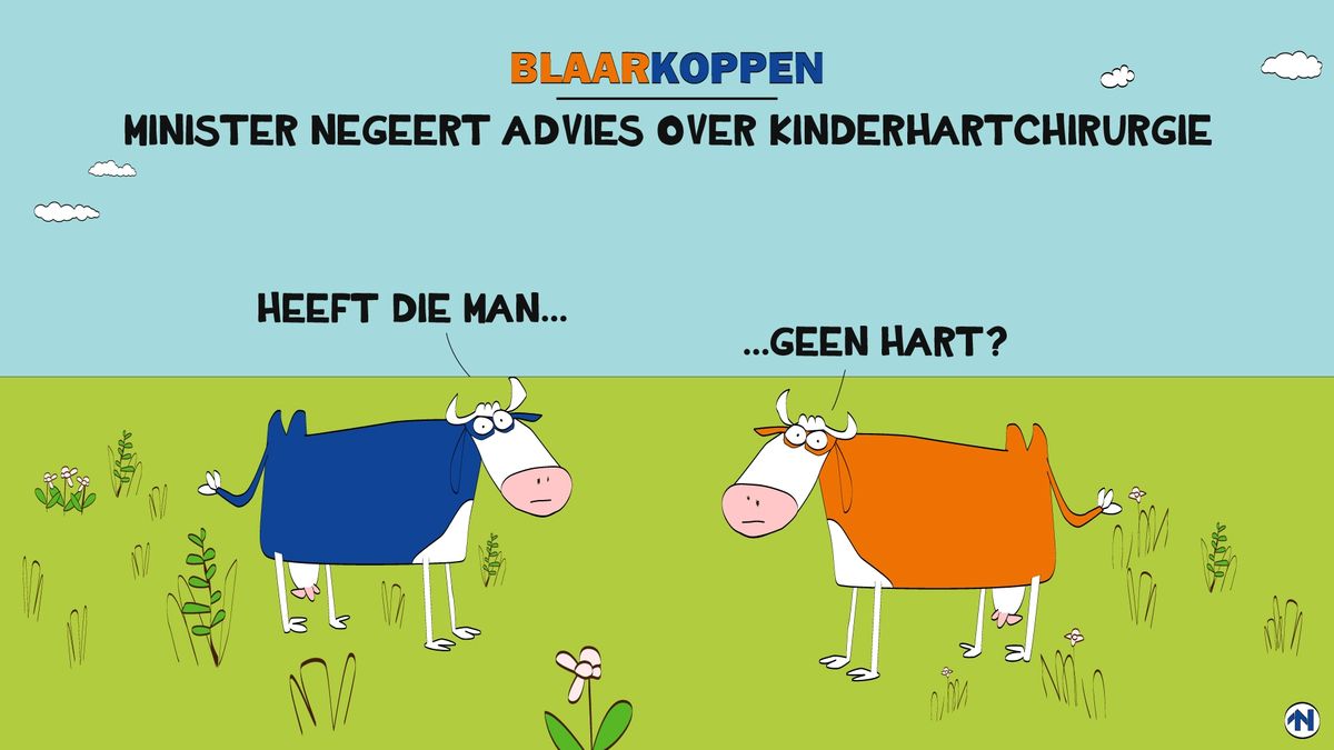 Blaarkoppen maken van hun hart geen moordkuil - RTV Noord