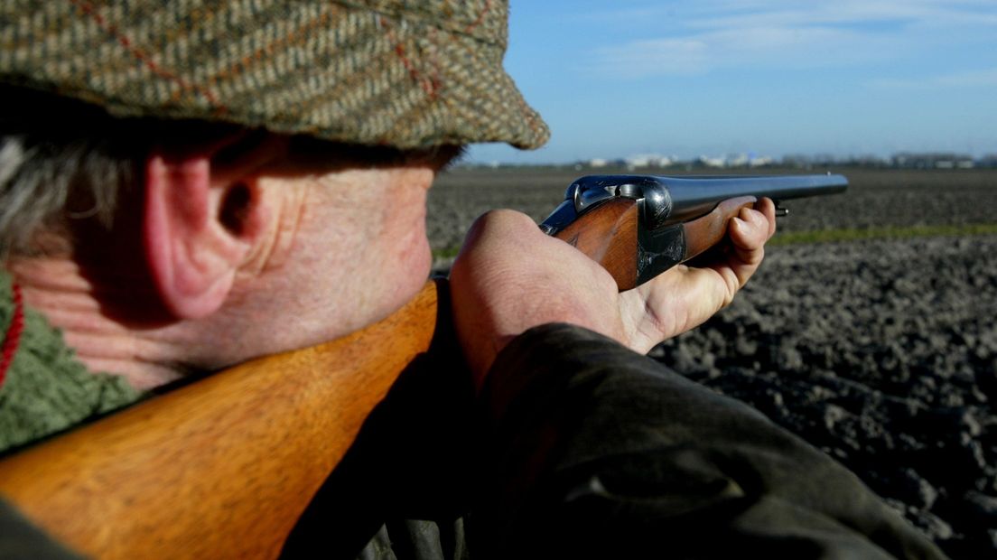 De helft van de jachtvergunningen in Drenthe is in bezit van jagers (foto ANP/Koen Suyk)