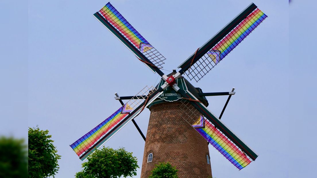 De versierde molen van Goes