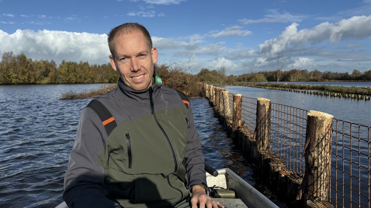 Ingrijpende werkzaamheden moeten De Deelen redden: "Als we meer vogels tellen, zijn we helemaal happ