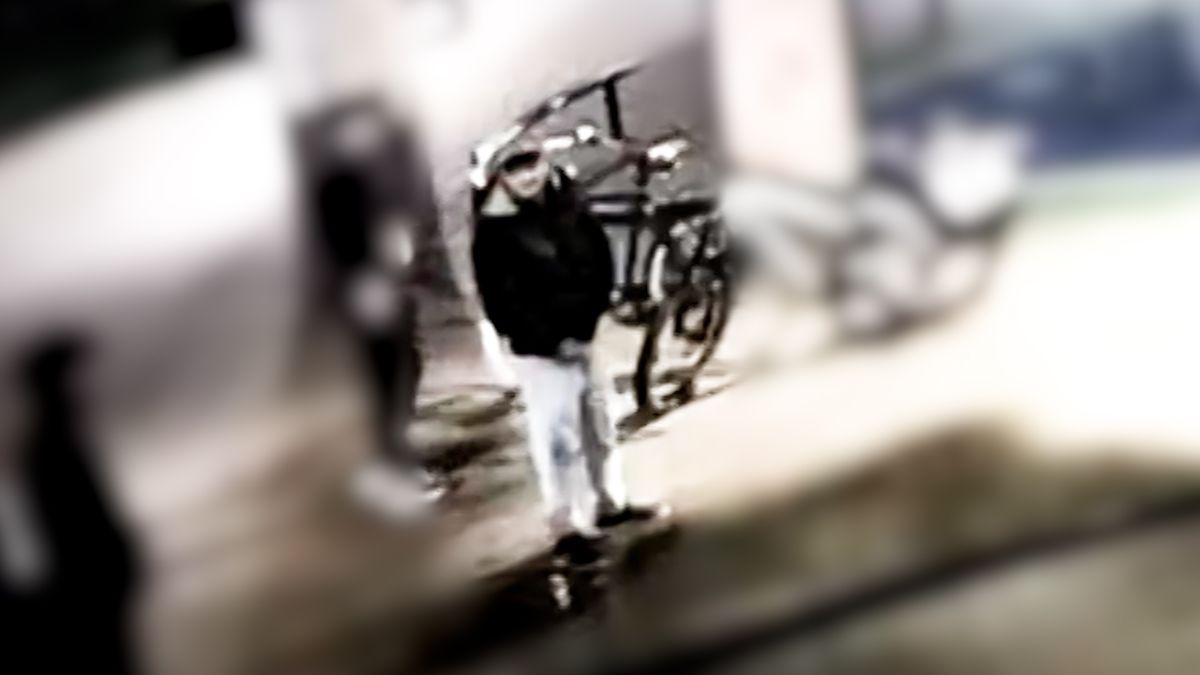 Man tilt achterwiel op en loopt doodleuk met gestolen e-bike door Enschede