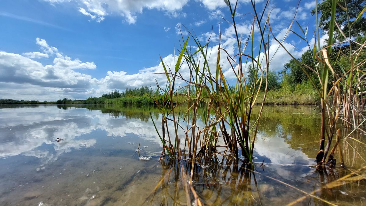 'Het water in Zeeland is niet schoon genoeg, en dat wordt ook niet beter'