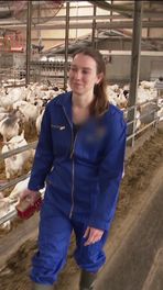 Onzekerheid voor geitenbedrijf