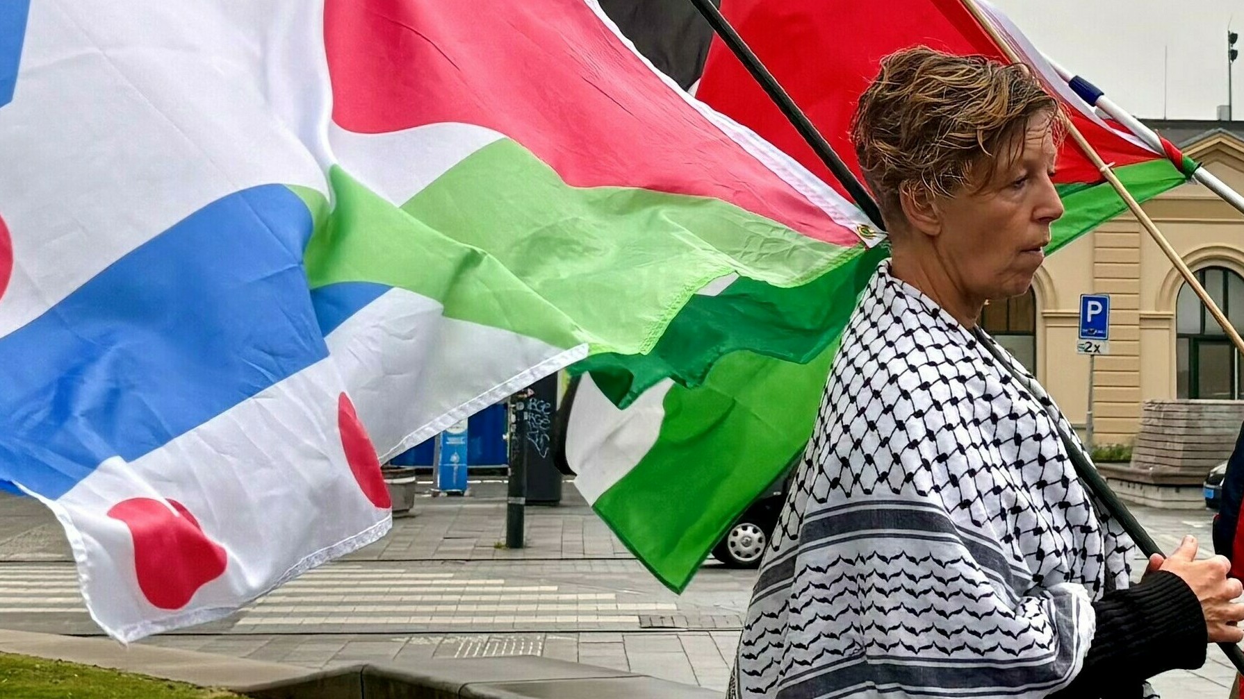 Gaza-protest yn Ljouwert