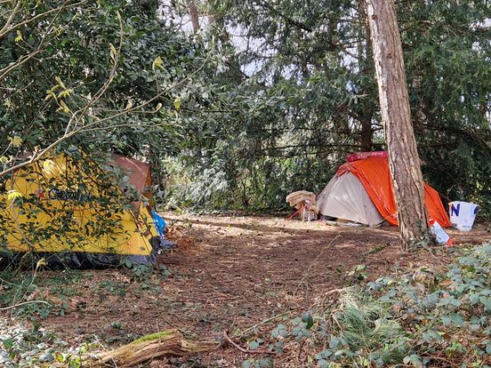 Daklozen in tentjes in het groen: 'Slecht voor buitenslapers, maar ook onveiligheid bij wandelaars'