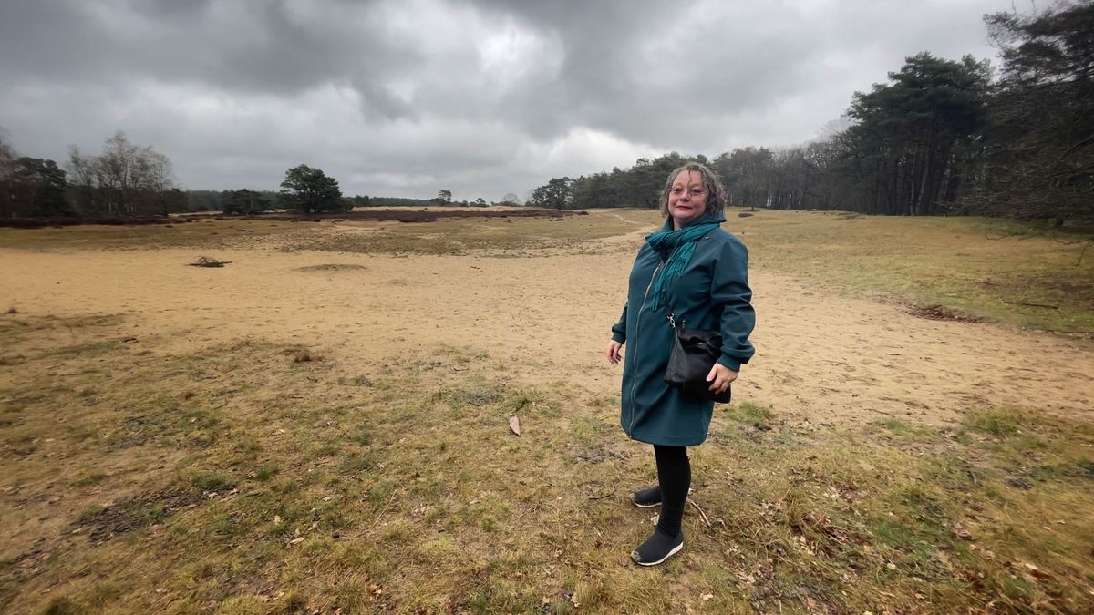 Into Nature in Borger-Odoorn: 'Het landschap vroeg erom'
