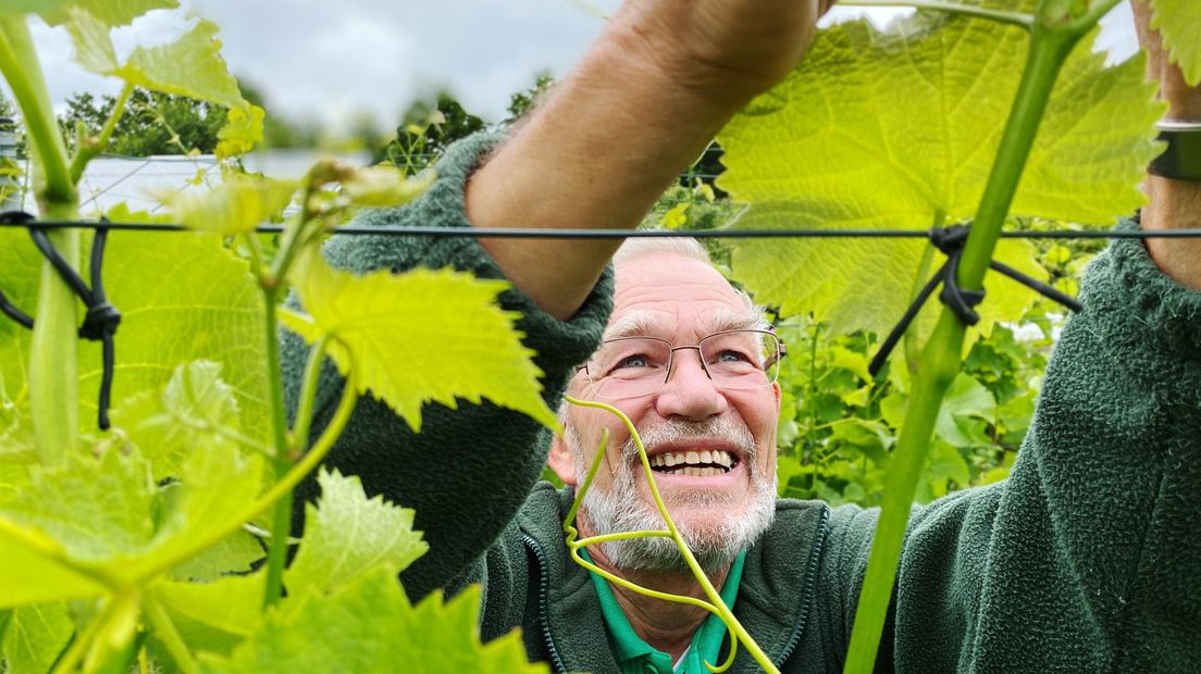 Vrijwilliger Fred de Grunt bij De hof van Seghwaert