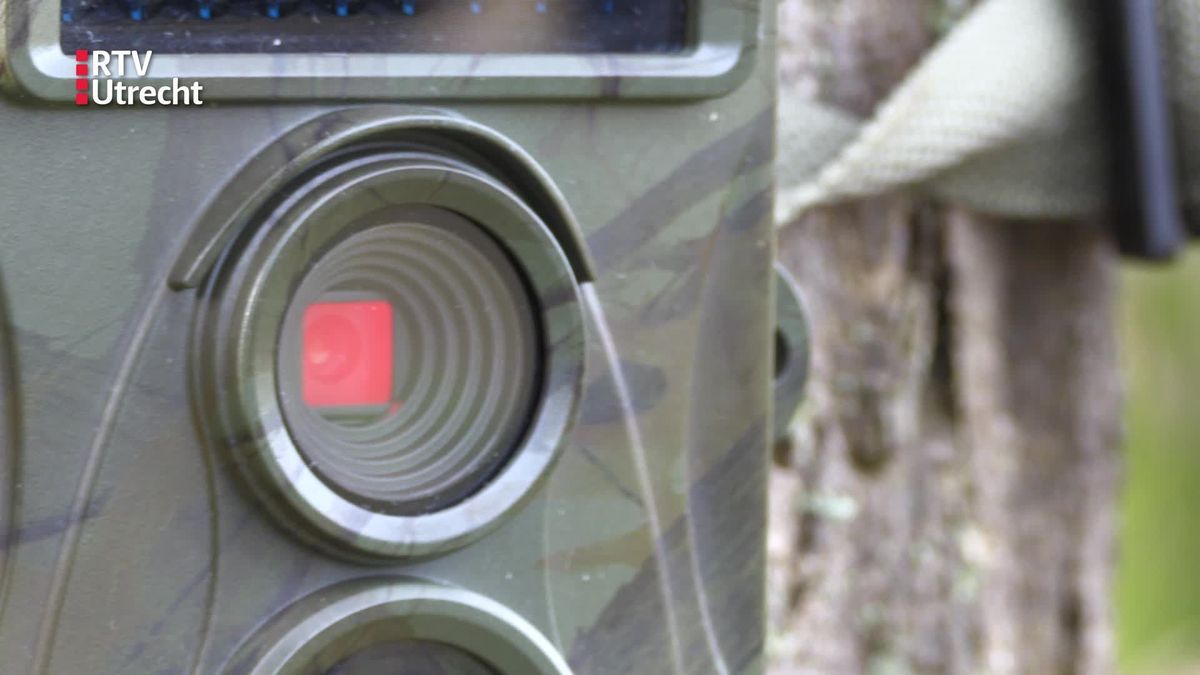 Hans Veth filmde een wolf bij Maartensdijk, een verslag van Jiri Glaap