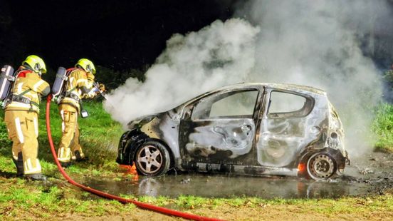 Auto rijdt tegen tak • autobrand