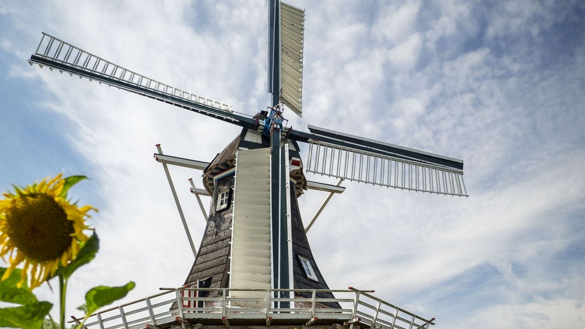 Molen in Noordbroek toe aan groot onderhoud: hoop gevestigd op hoofdprijs van 75.000 euro