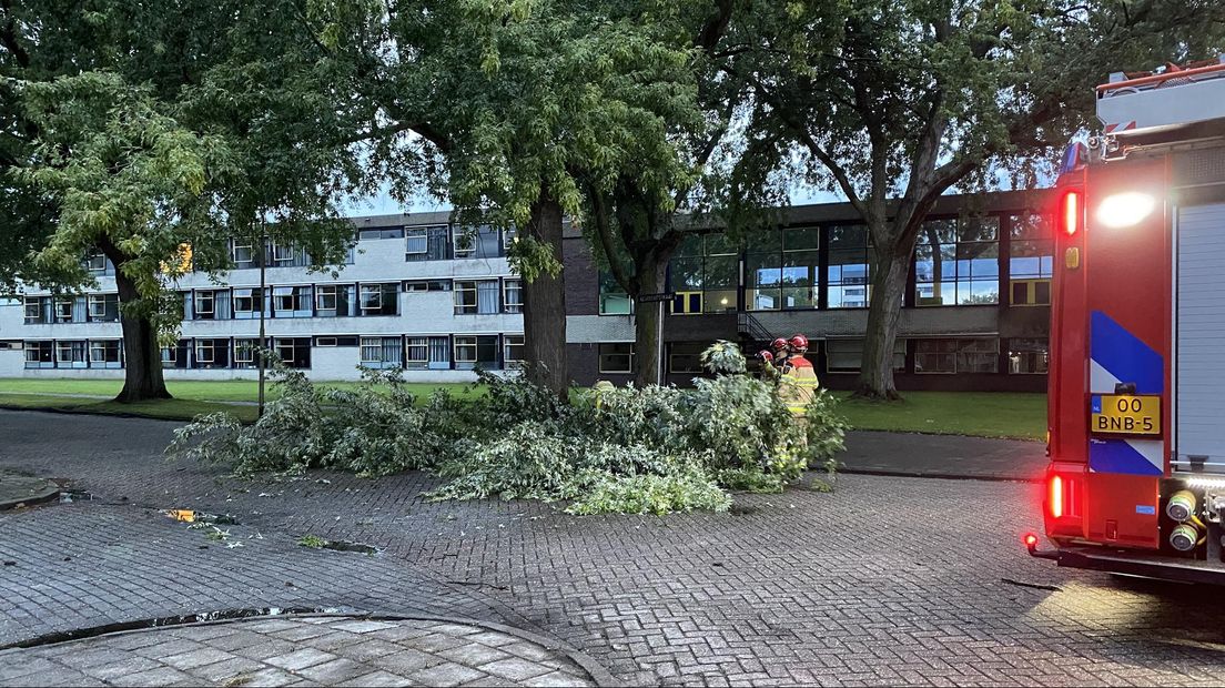 Afgevallen boomtakken in Deventer