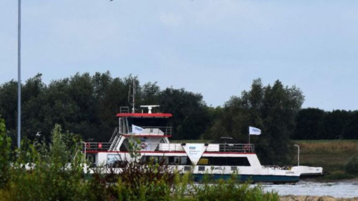 Veer Brakel-Herwijnen buiten dienst door technische storing