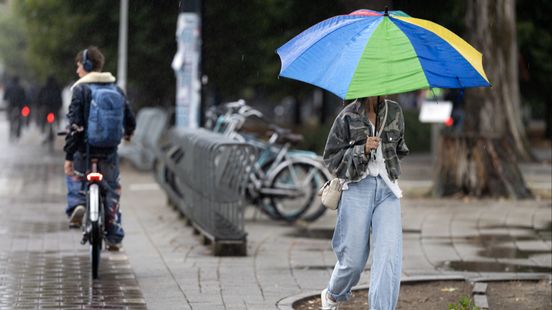Regen is zegen voor tuinders na weken van droogte: 'Geeft veel minder stress' Home