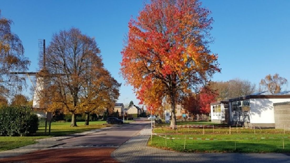 Diverse meldingen over verkeersveiligheid in de Witte Molenwijk in Rilland