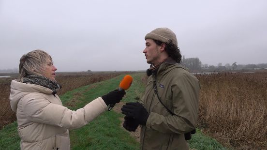 Hoeveel kleine marterachtigen hebben we in Groningen?