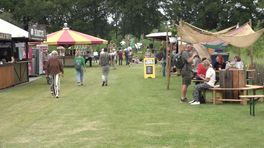 Vijftiende editie van FestiValderAa