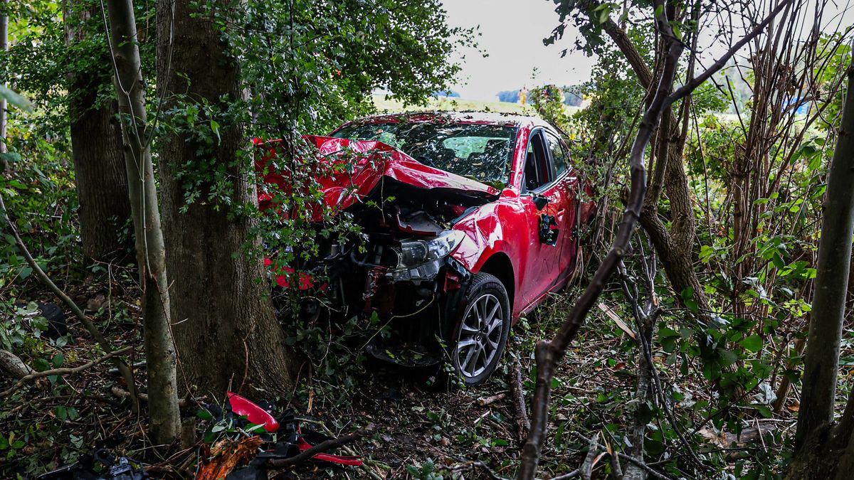 Autobestuurder raakt bekneld na botsing tegen boom bij Lemmer