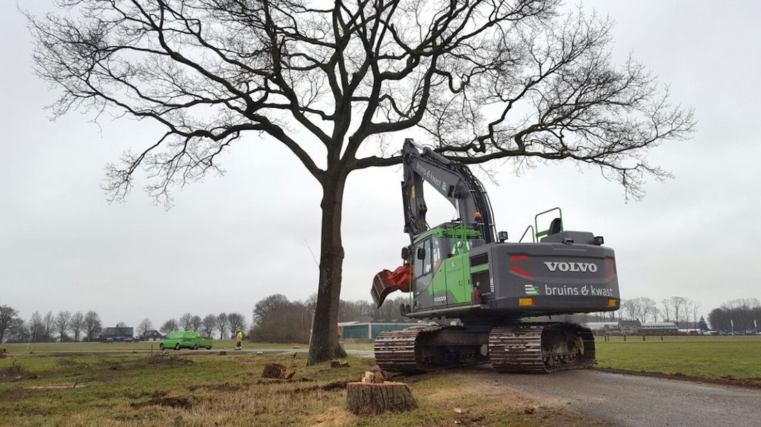 Bomen en groen moeten wijken voor verbrede N35 tussen Zwolle en Wijthmen