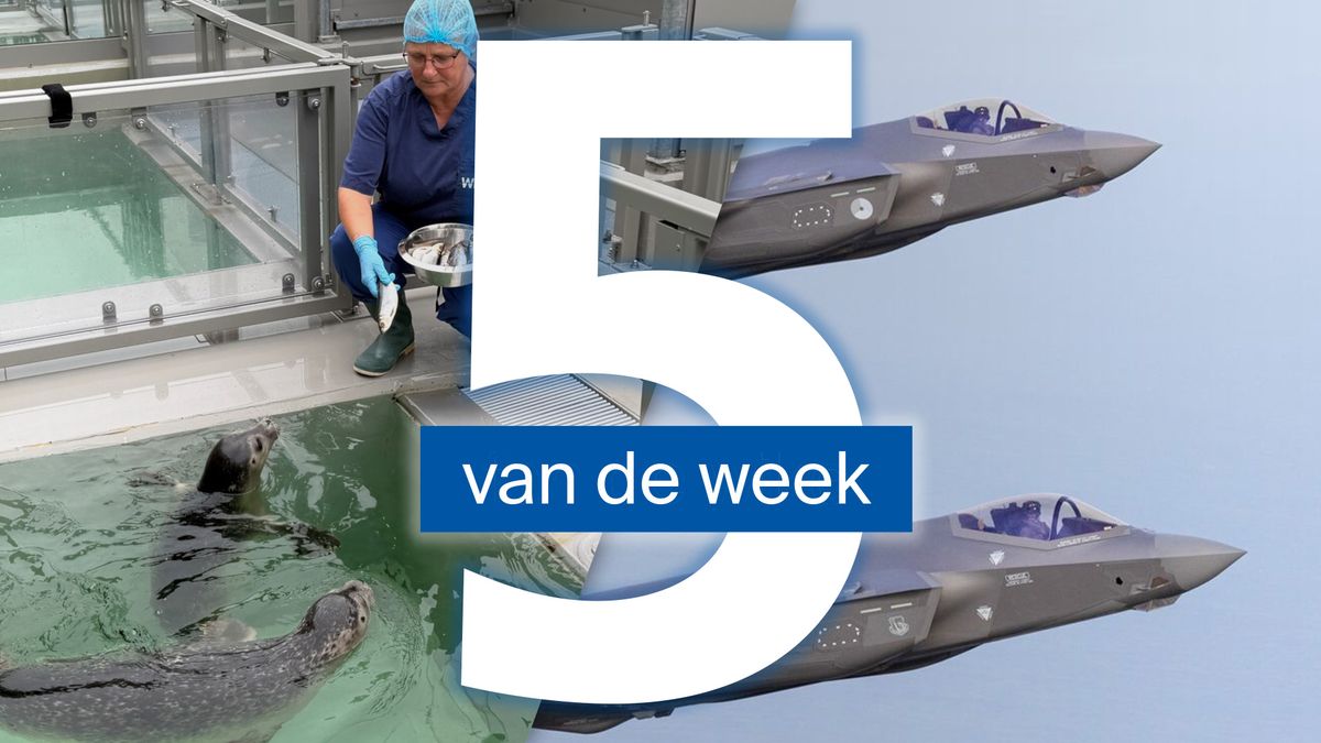 Harde klap voor zeehondenopvang en zorgen over impact nieuwe Defensiewet op regio Leeuwarden