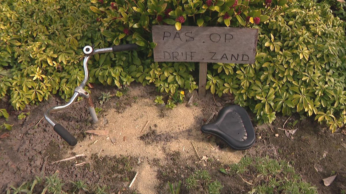 Óngerwaeg ontdekt een schoenlappersplant in Merselo