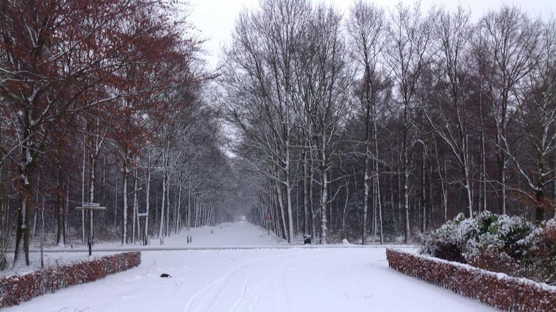 Besneeuwde oprit
