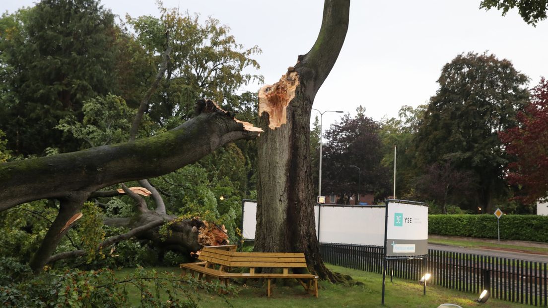 Boom breekt af in Baarn