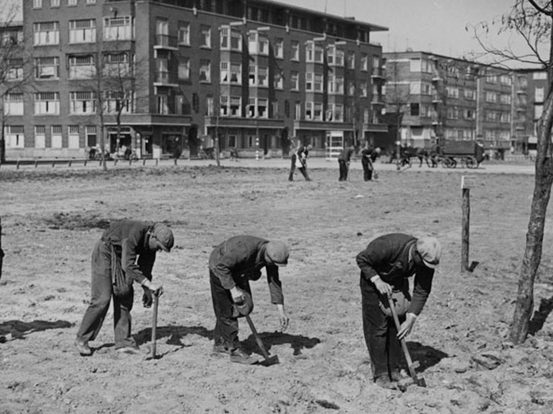 1942 Aardappelteelt Statenweg  Collectie Stadsarchief, foto E.A Hof