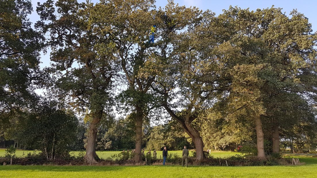 Een parachutist bungelt op 12 meter hoogte bij Echten (Rechten: Persbureau Meter)