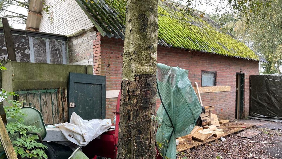 Verdachten drugslabs Bovensmilde, Nieuw-Beerta en Hellum blijven langer vastzitten