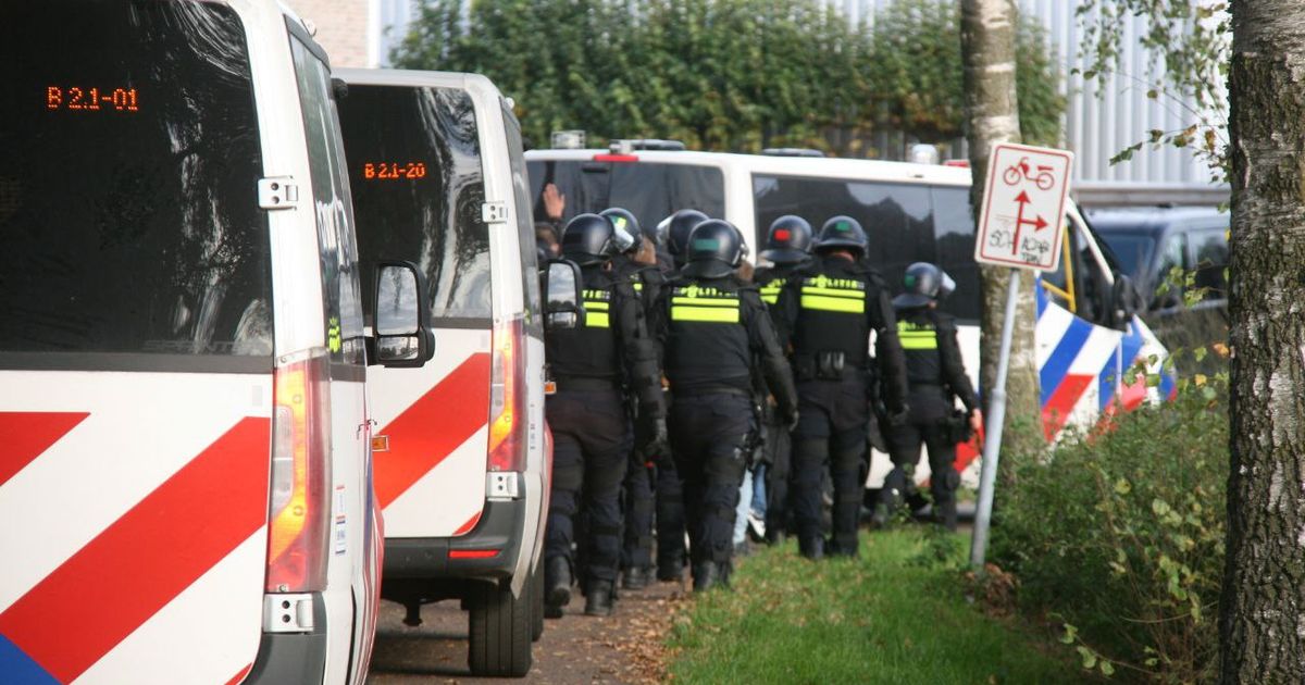 www.oost.nl