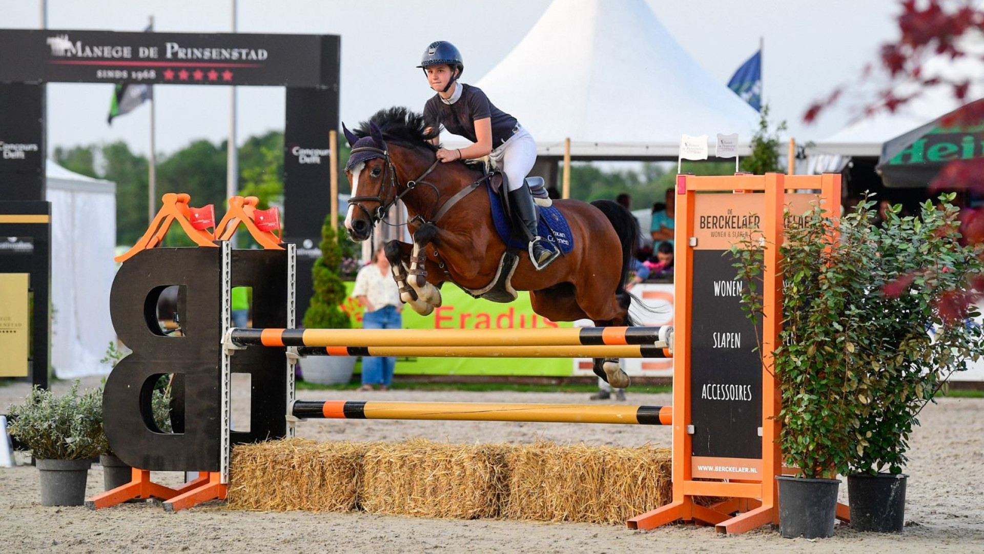 Springruiter op Concours Delft