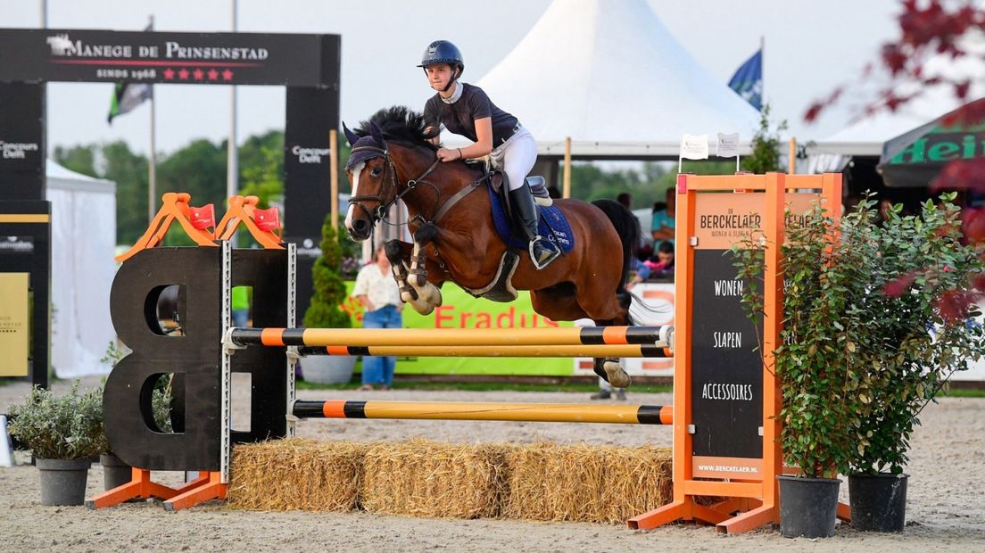 Springruiter op Concours Delft