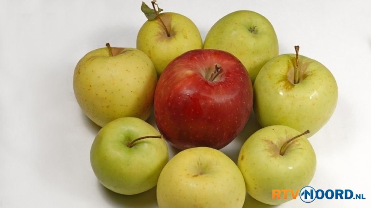 Fruitteler Saaxumhuizen stopt er mee