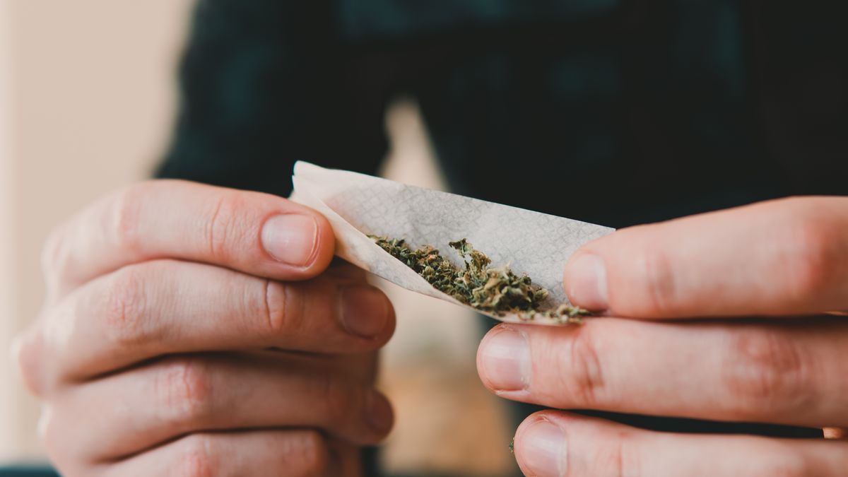 Tientallen kilo's cannabis van Leeuwarder coffeeshops in beslag genomen