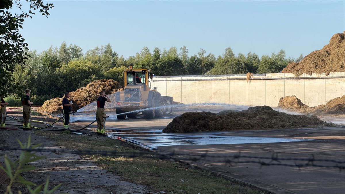 Veel rook door brandende grasbult bij bedrijf in Kootstertille
