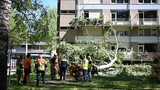 Boom valt op flatgebouw