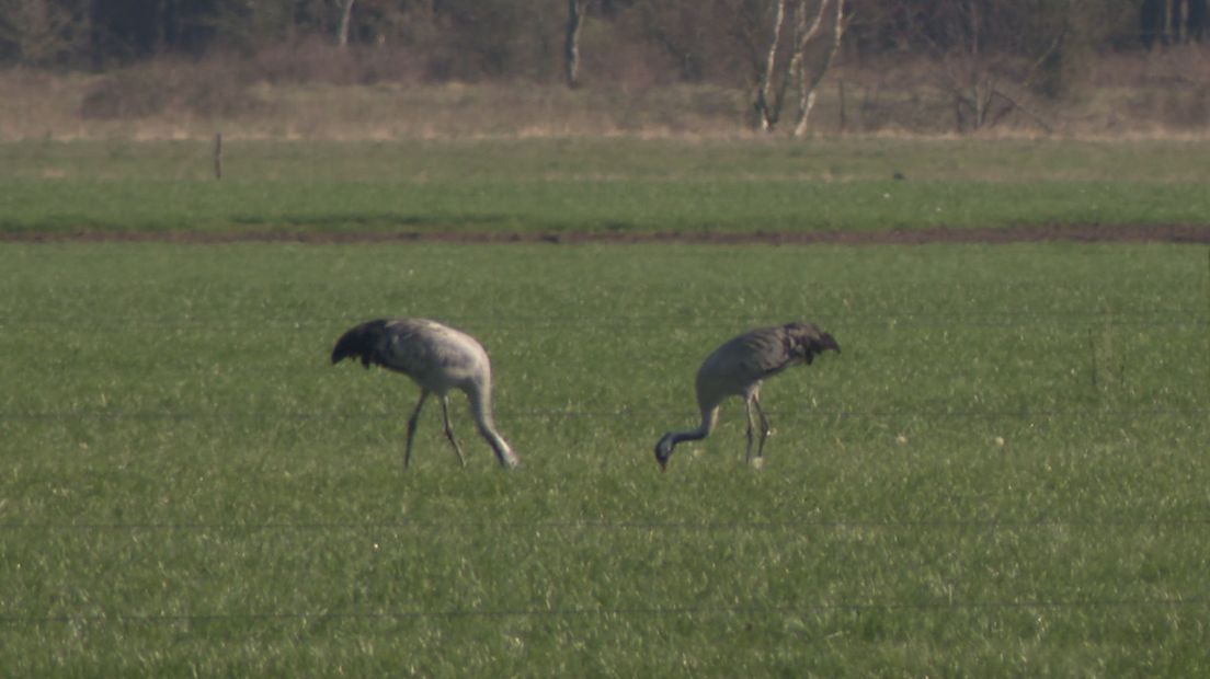 Een kadootje tijdens de opnames van ROEG!