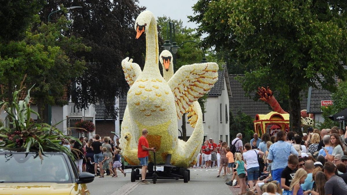 Flinke uitdaging voor deelnemers bloemencorso Leersum: veel minder dahlia's geleverd