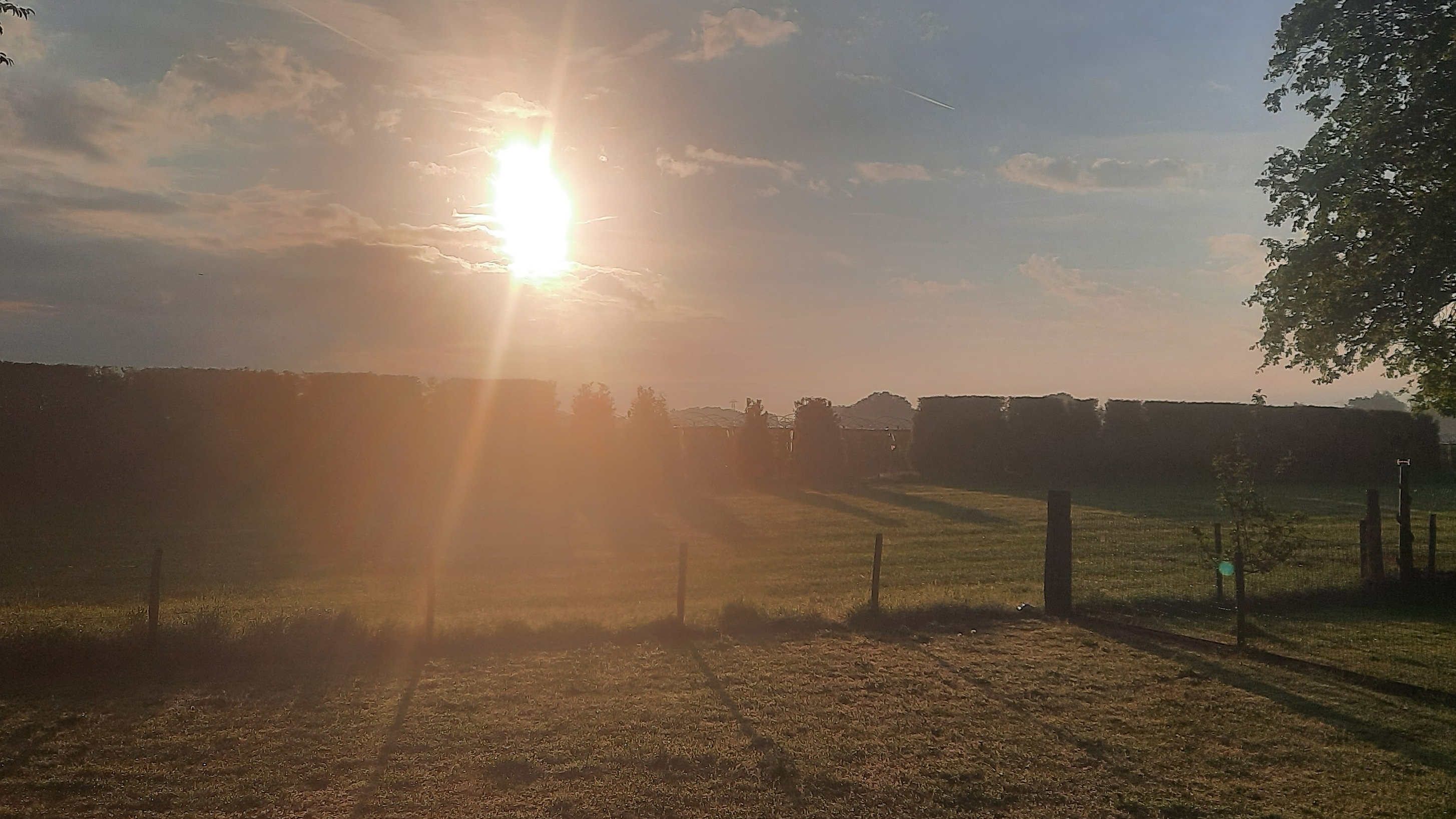 Home