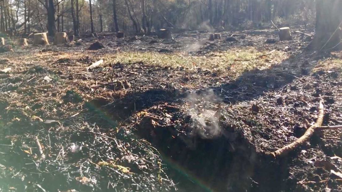 Smeulende grond op de Arnhemse Heide.