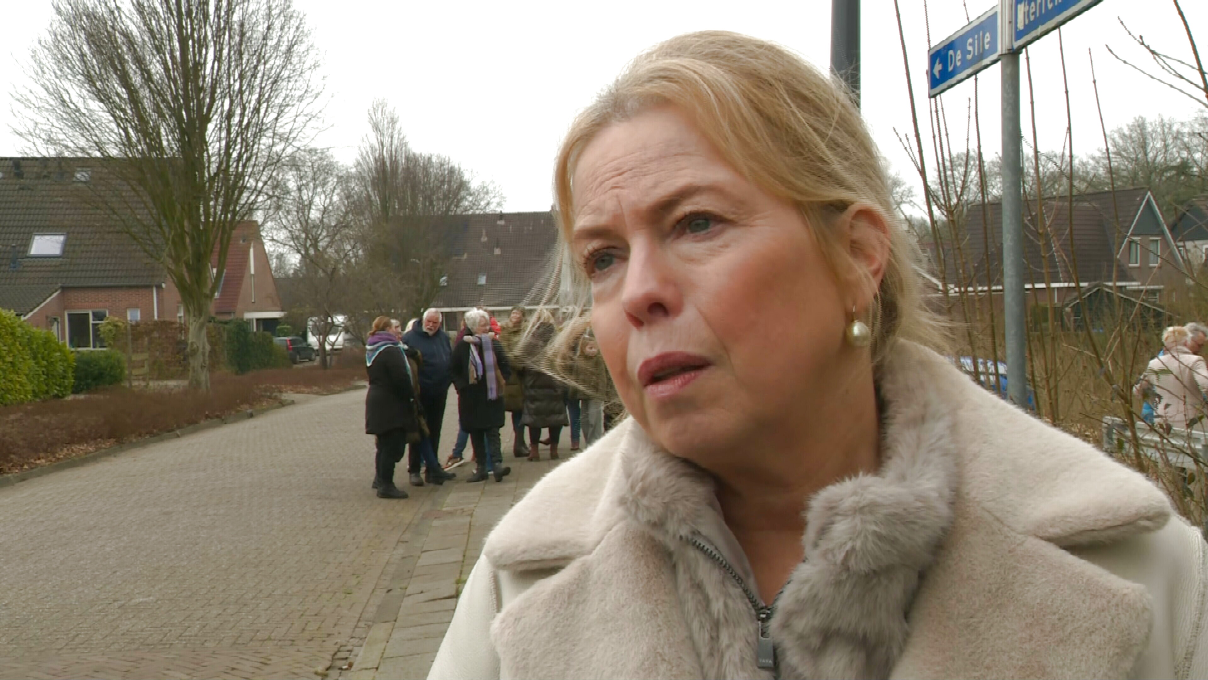 Bewenners Nijhoarne ha soargen oer feiligens nei oanfallen op skiep, polityk kin net soad dwaan