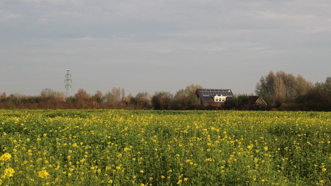 Iedere zondagochtend tussen 7.00 en 10.00 uur struint verslaggever Laurens Tijink door de Gelderse natuur. Vandaag kijkt Laurens samen met gemeenschapsboer en BuitenGewoon-blogger Louis Dolmans op een andere manier naar landbouw en natuur.