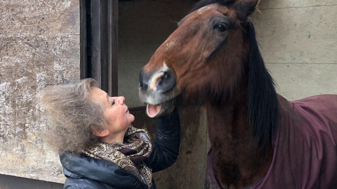 Anne van Lith bij een van de paarden die ze verzorgt