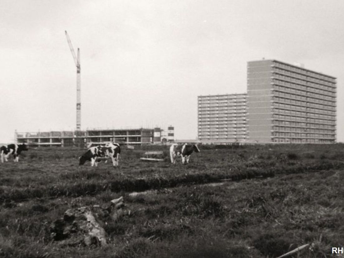 De eerste flats in de polder; de Kellog-,Stresemann- en Schutseflat